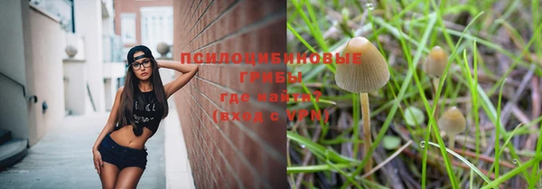 прущая мука Семёнов