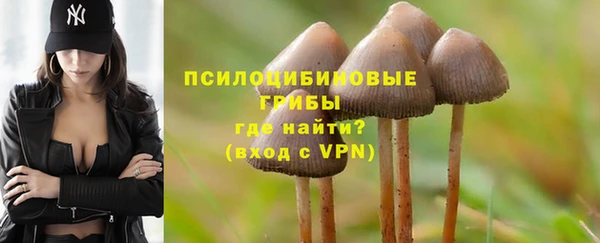 мдма Бородино