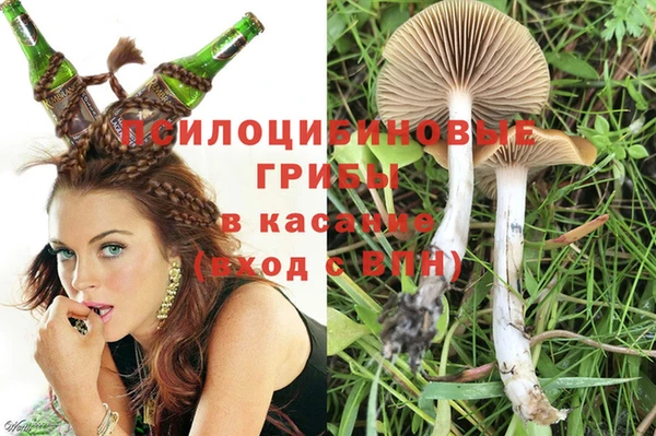 мдма Бородино