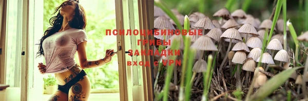 мяу мяу мука Богородицк